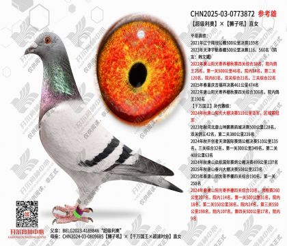 �������¡�ʨ�Ӻ�ֱŮ