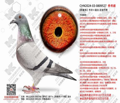 �����������ֱŮ  ��������