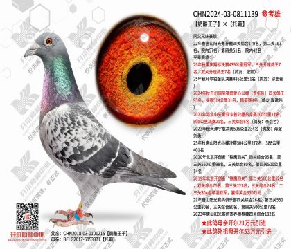 �������ӡ�����