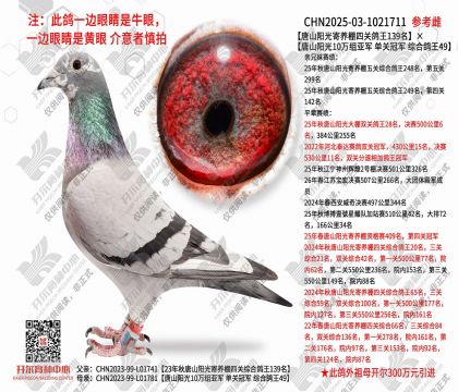 ��ɽ�����Ĺظ���139������ɽ����10�����Ǿ��ۺϸ���49