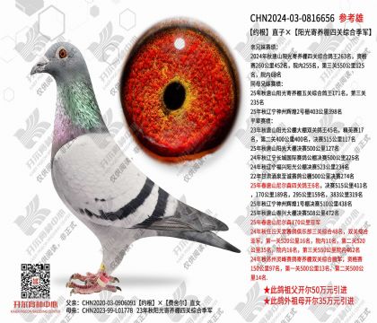 Լ��ֱ�ӡ�����������Ĺ��ۺϼ���