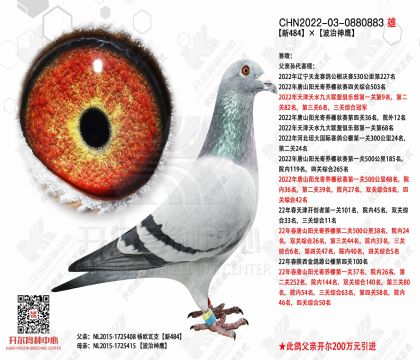 2����-0880883