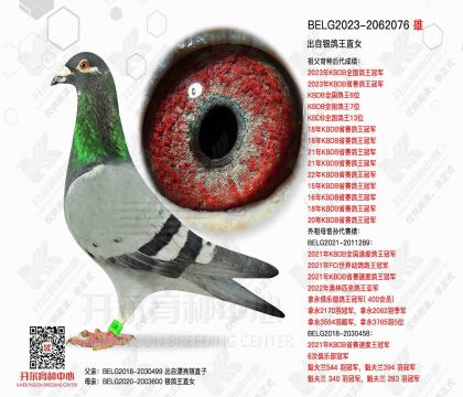 2����-2062076