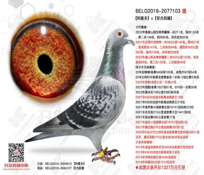 2����-2077103