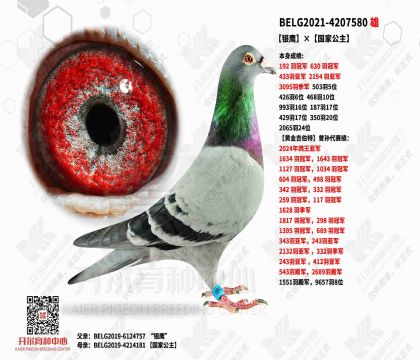 2����-4207580