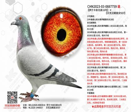 2����-0887759