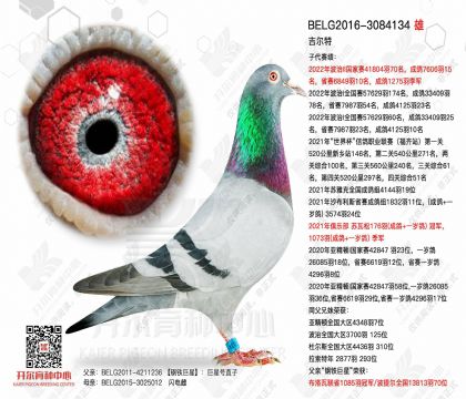 2����-3084134