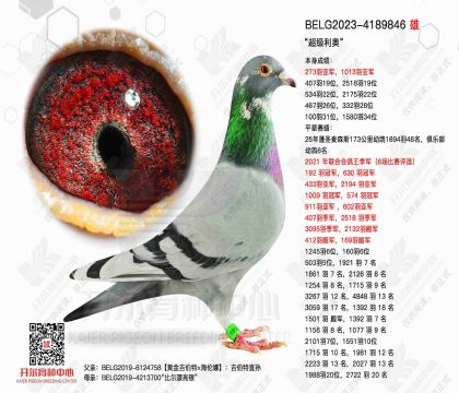 2����-4189846