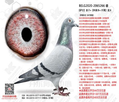 2����-2065266