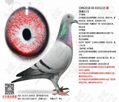 2-����0101215