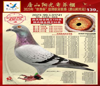 2����-L01741