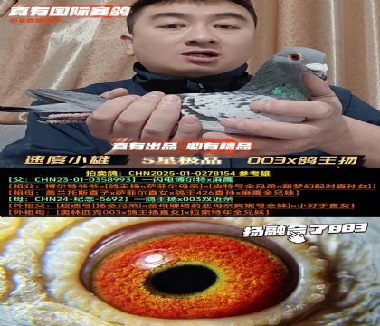 ���ٶ�С�ۡ�003x������