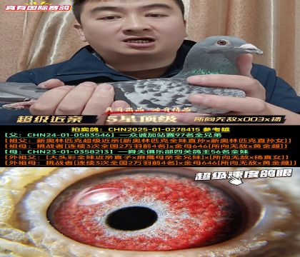 ���������ס������޵�x003x��