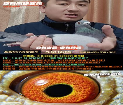 ������967����ֱ��ƽ��x�����޵�x003