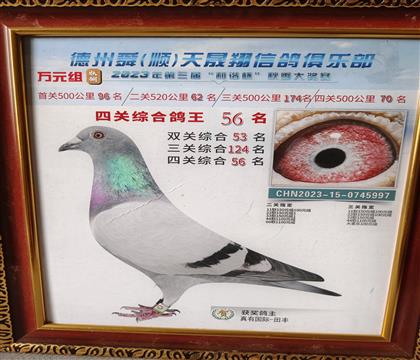 ĸ��ȫ����