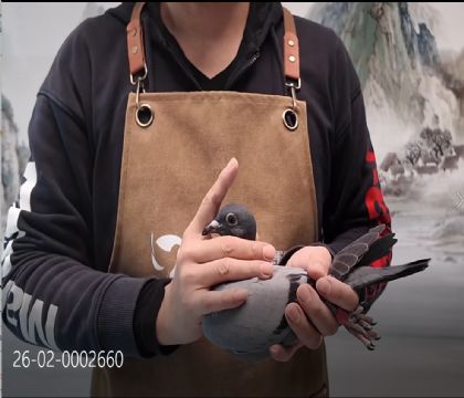 �����������롰098��������Ů