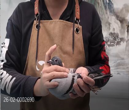 �����ֱ���䷶�ǲ���