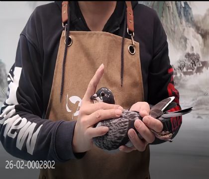 �������롰��ѻ��ض�����Ů