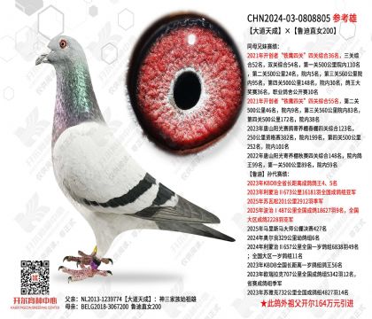 �����ɡ�³��ֱŮ200