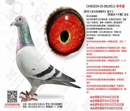 �����ʡ�������Х�š�ֱ�ӡ����������Ǫ����ֱŮ