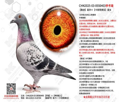 ³��ֱ������������ֱŮ