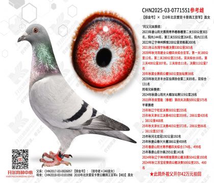 �ӽ�š� 10�걱�����ǿ��ո����Ǿ�ֱŮ