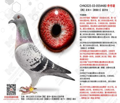 ����ס�ҹ��ʿֱ��Ů