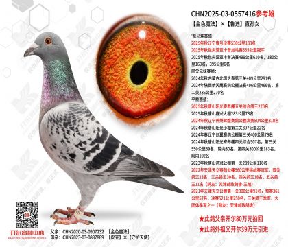 ��ɫħ����³��ֱ��Ů