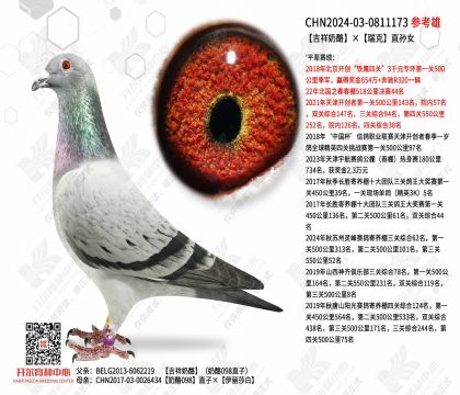 �������ҡ����ֱ��Ů