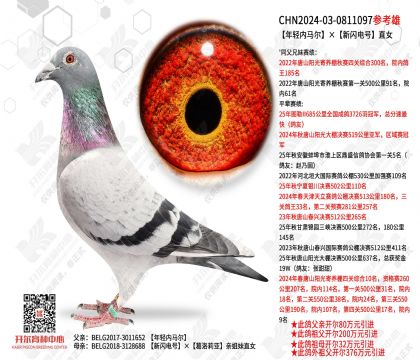 �������������������ֱŮ