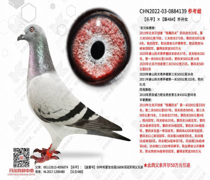 ��ƽ����484����Ů