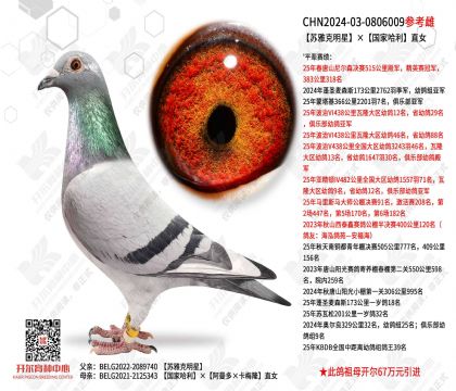 ���ſ����ǡ����ҹ���ֱŮ