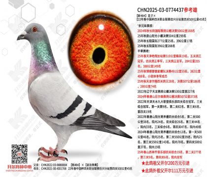 ��484ֱ�ӡ��й����Ĺ�ְҵ�������˷�վ���Ĺ�500����45