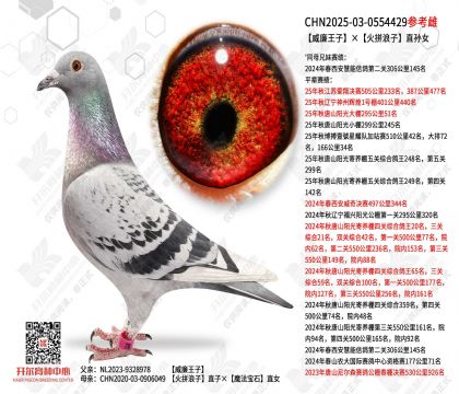 �������ӡ���ƴ����ֱ��Ů