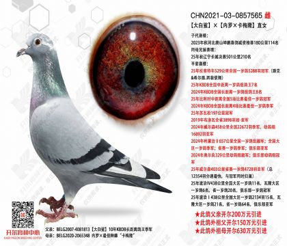 �����������ޡ���÷¡��ֱŮ