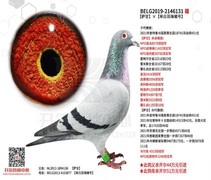 2����-2146131