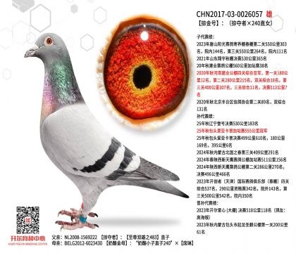 2����-0026057