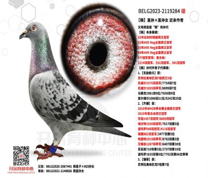 2����2119284