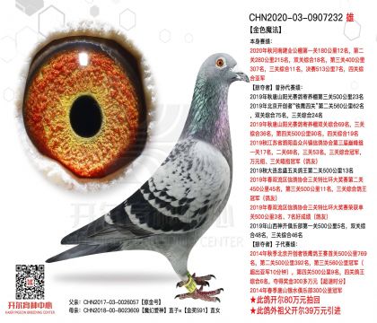 2����0907232