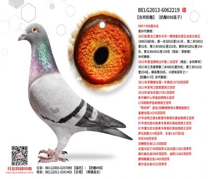 2����BELG2013-6062219