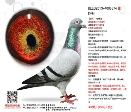 2����-4096874