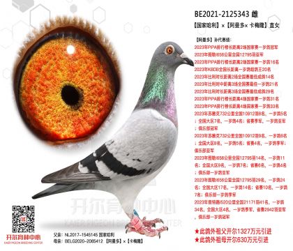 2ĸ��BELG2021-2125343