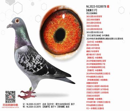 2����NL2023-9328978