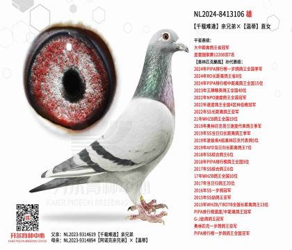 2����NL2024-8413106