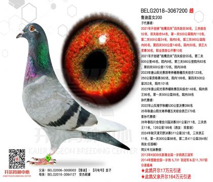 3ĸ��BELG2018-3067200ͼ