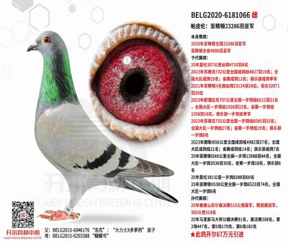 3��ĸ6181066����