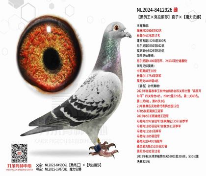 3ĸ��NL2024-8412926