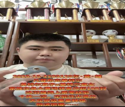 �ƹ������ѡ�����ǲ��ˡ����ض���ֱ��X�����ض���ֱŮ