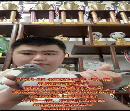 �ƹ������ѡ�����ǲ��ˡ����ض���ֱ��X�����ض���ֱŮ