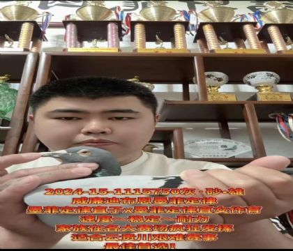 ɽ�����ǣ������ϲ�����ī�ƶ��ɡ�ֱ��X��ī�ƶ��ɡ�ֱŮ